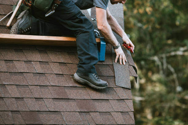 Best Roof Gutter Cleaning  in Biola, CA